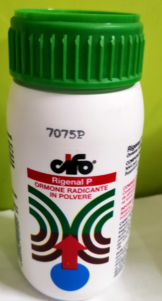 Rigenal P Polvere Radicante Per Talee - 100 Gr - Foto 13