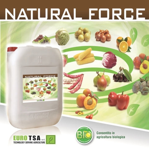 Natural Force: idrolizzato proteico vegetale per eccellenza